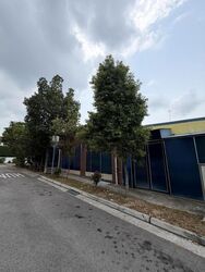 Toh Estate (D17), Terrace #617595551